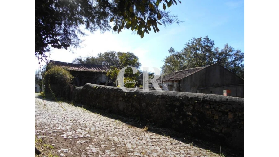 Moradia T5 para Venda em Pussos São Pedro Foto 6