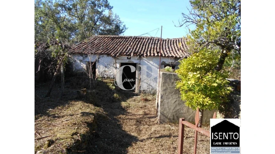 Moradia T5 para Venda em Pussos São Pedro Foto 10