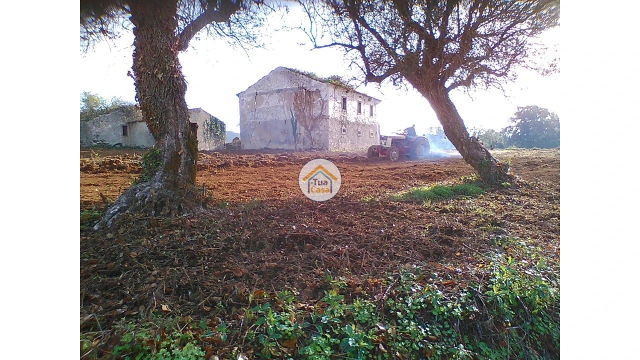 Moradia T1 para Venda em Figueira de Lorvão Foto 4