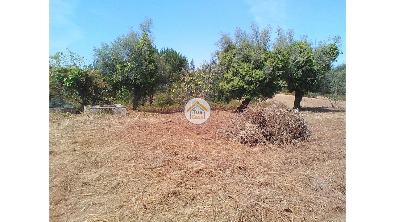 Moradia T1 para Venda em Figueira de Lorvão Foto 12