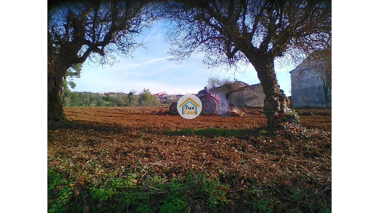 Moradia T1 para Venda em Figueira de Lorvão Foto 6