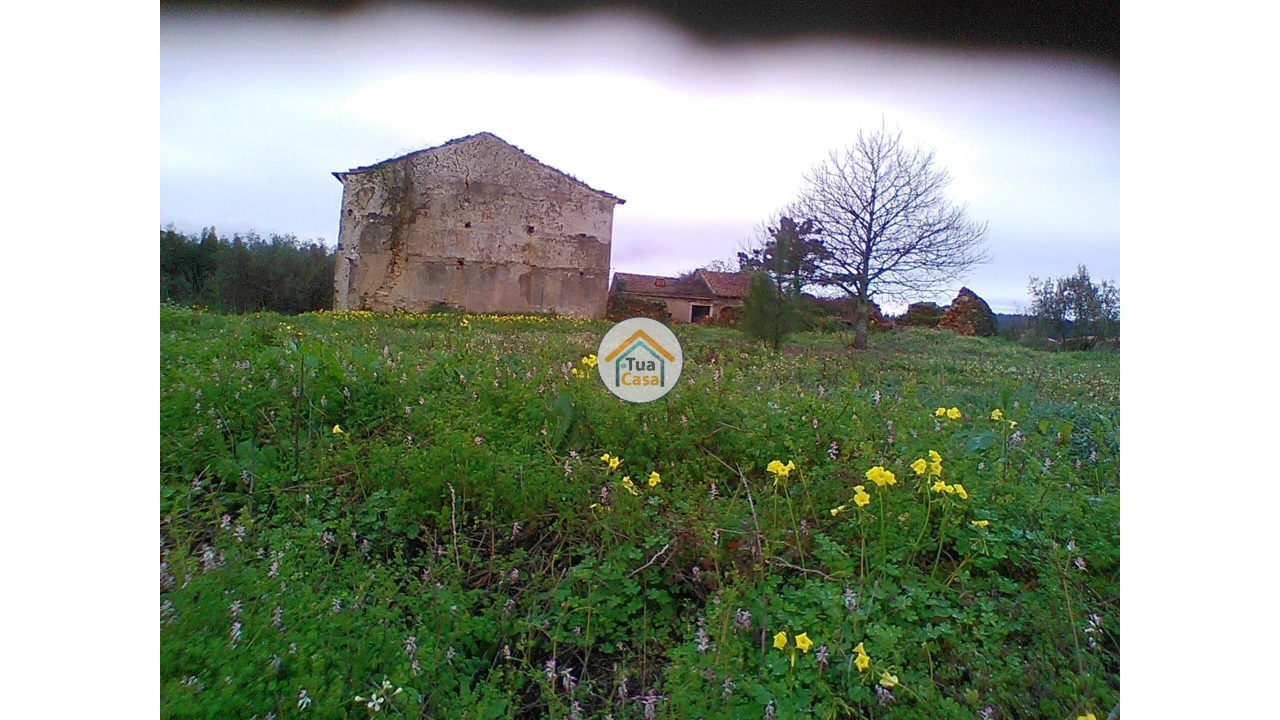 Moradia T1 para Venda em Figueira de Lorvão Foto 20