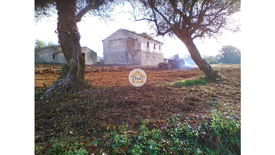 Moradia T1 para Venda em Figueira de Lorvão Foto 4