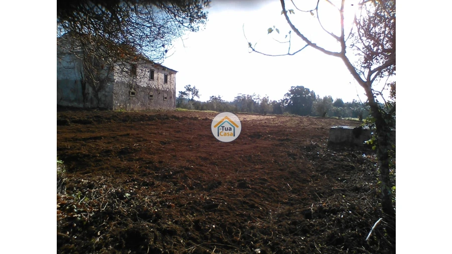 Moradia T1 para Venda em Figueira de Lorvão Foto 7