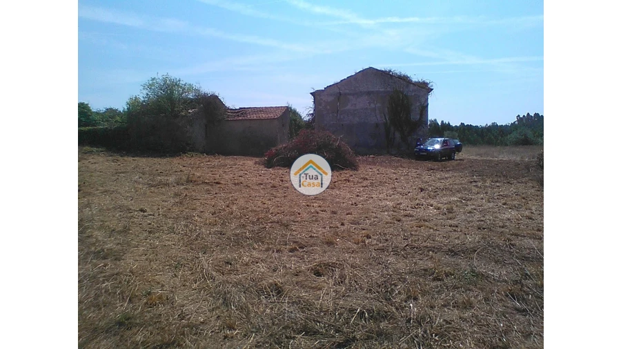 Moradia T1 para Venda em Figueira de Lorvão Foto 10