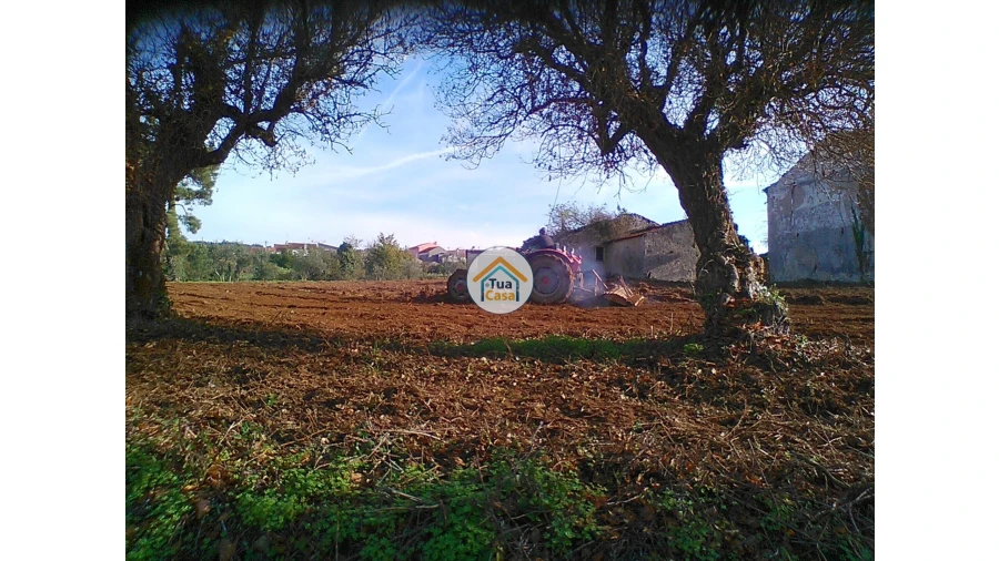 Moradia T1 para Venda em Figueira de Lorvão Foto 6