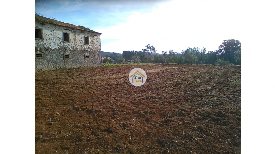 Moradia T1 para Venda em Figueira de Lorvão Foto 3