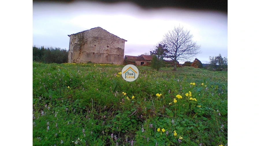 Moradia T1 para Venda em Figueira de Lorvão Foto 20