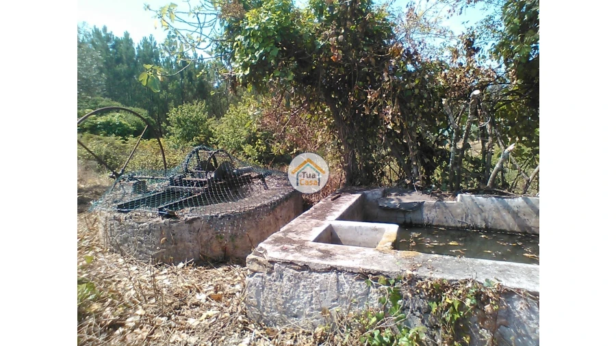 Moradia T1 para Venda em Figueira de Lorvão Foto 5