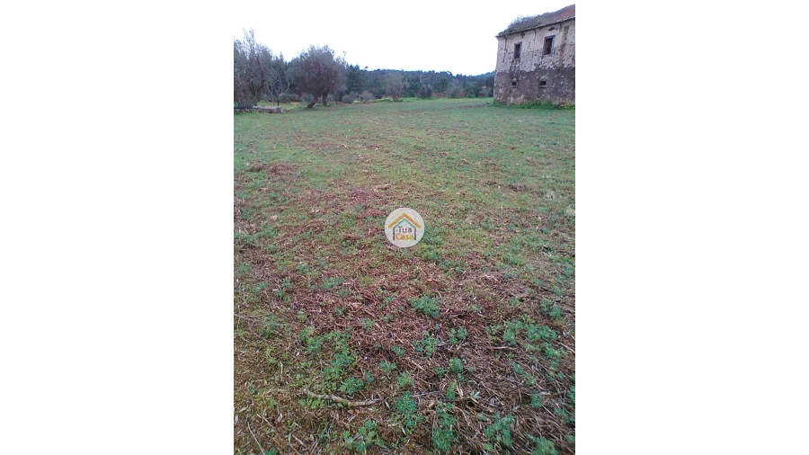 Moradia T1 para Venda em Figueira de Lorvão Foto 19