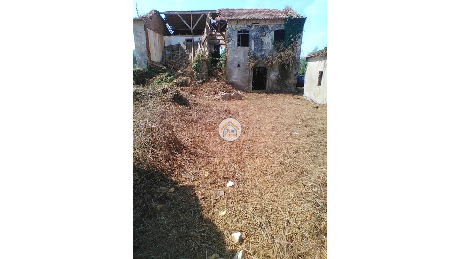 Moradia T1 para Venda em Figueira de Lorvão Foto 15