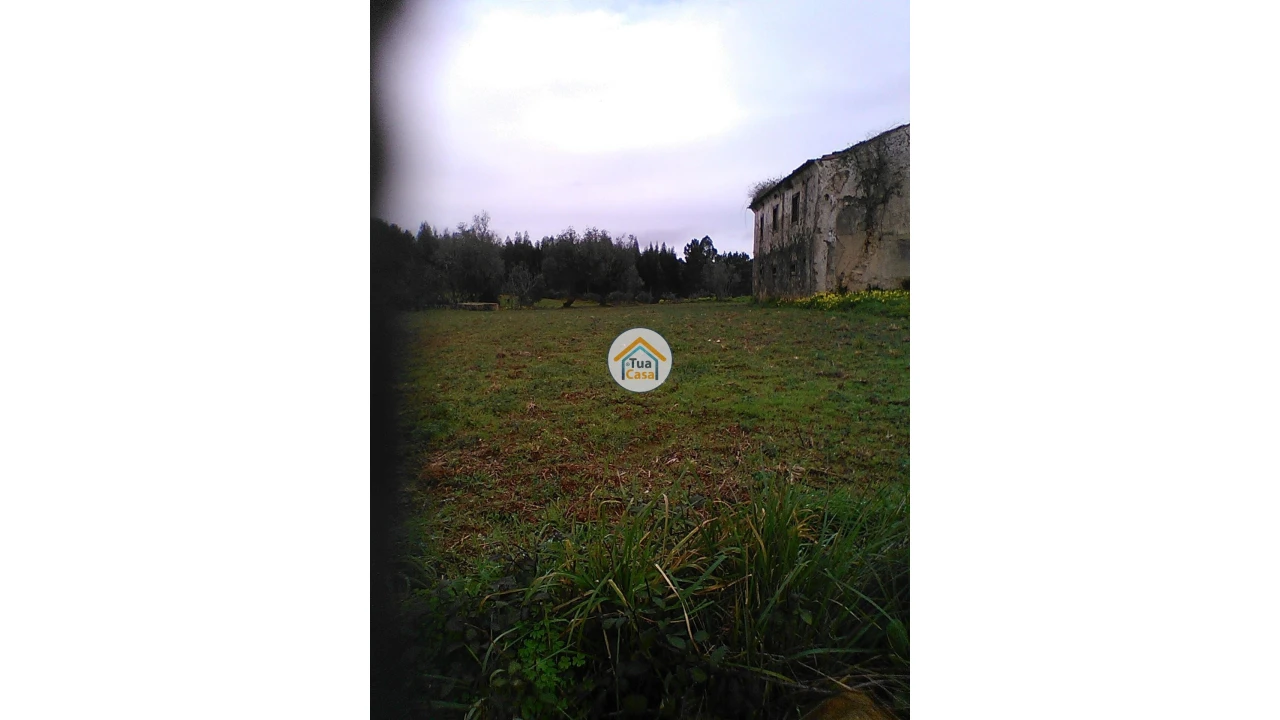 Moradia T1 para Venda em Figueira de Lorvão Foto 18