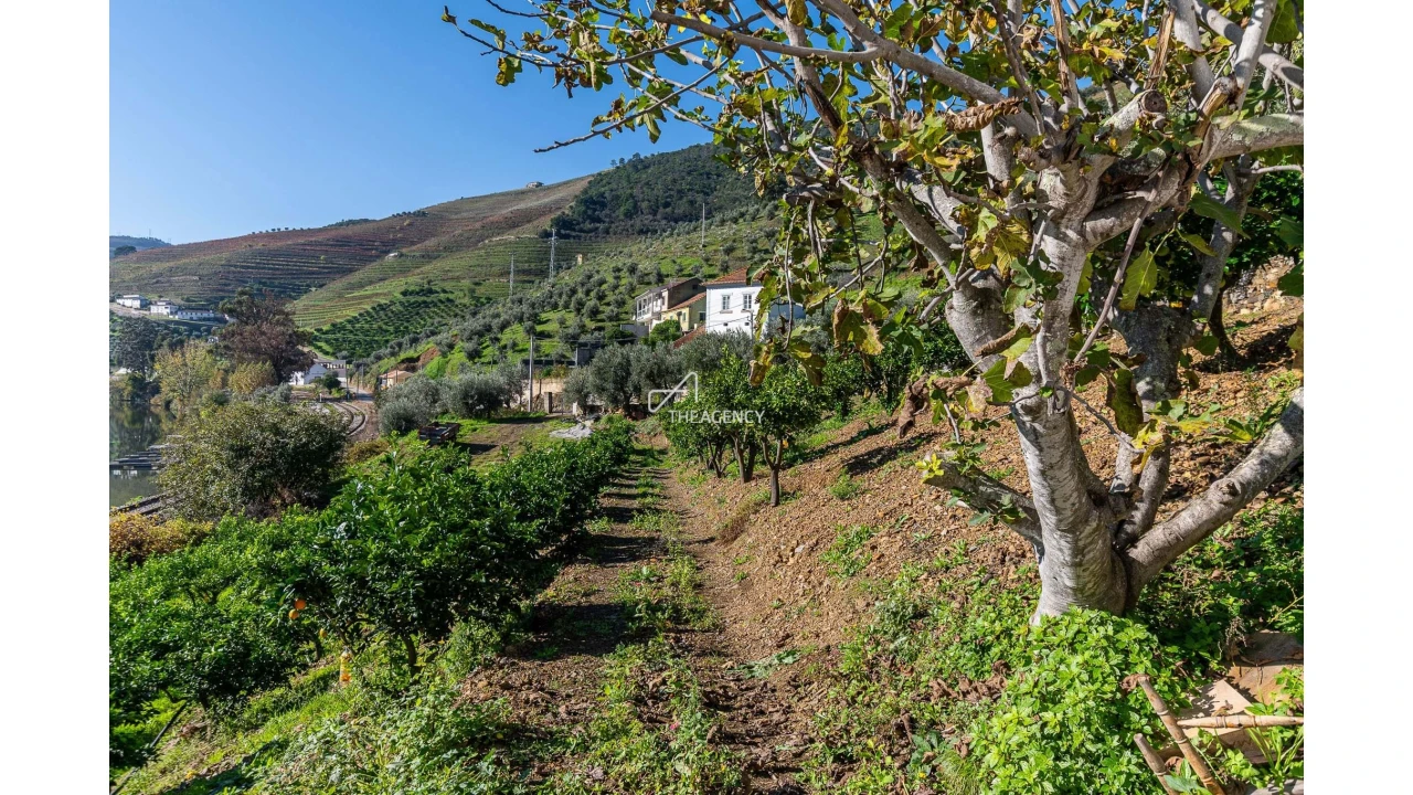 Quinta T6 para Venda em Galafura e Covelinhas Foto 16