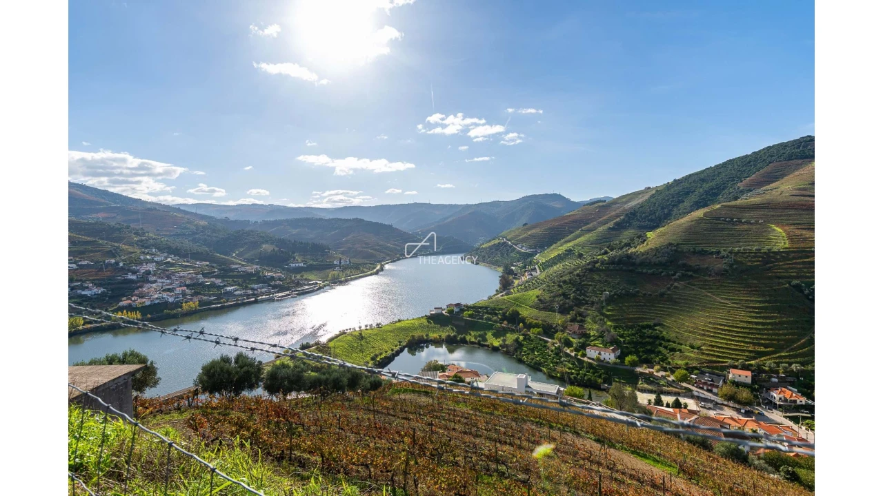 Quinta T6 para Venda em Galafura e Covelinhas Foto 3