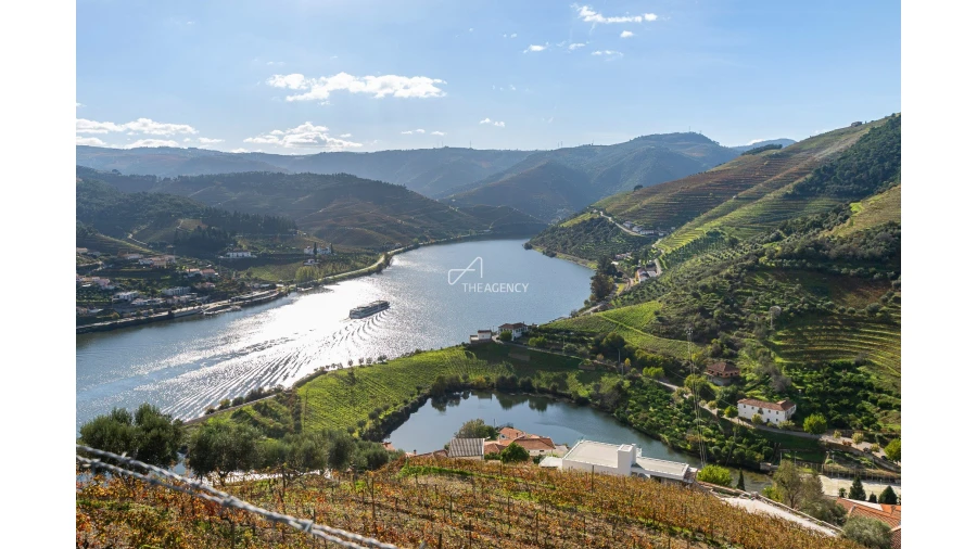 Quinta T6 para Venda em Galafura e Covelinhas Foto 2