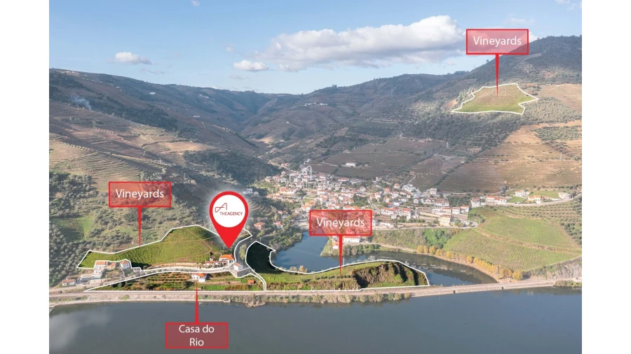 Quinta T6 para Venda em Galafura e Covelinhas Foto 20