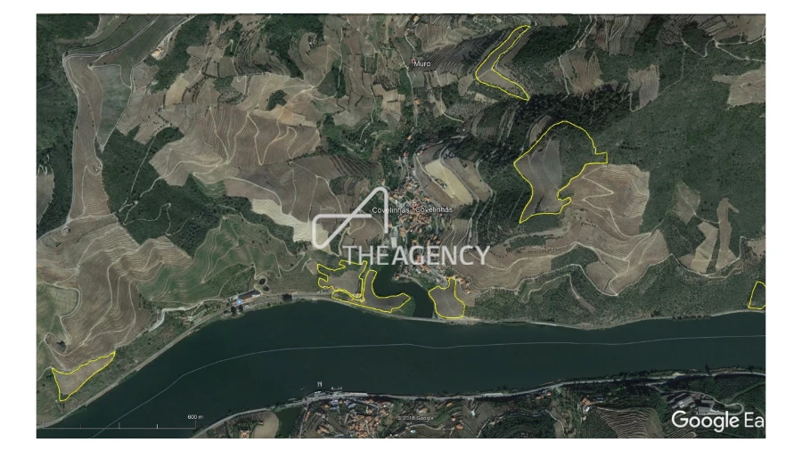 Quinta T6 para Venda em Galafura e Covelinhas Foto 27