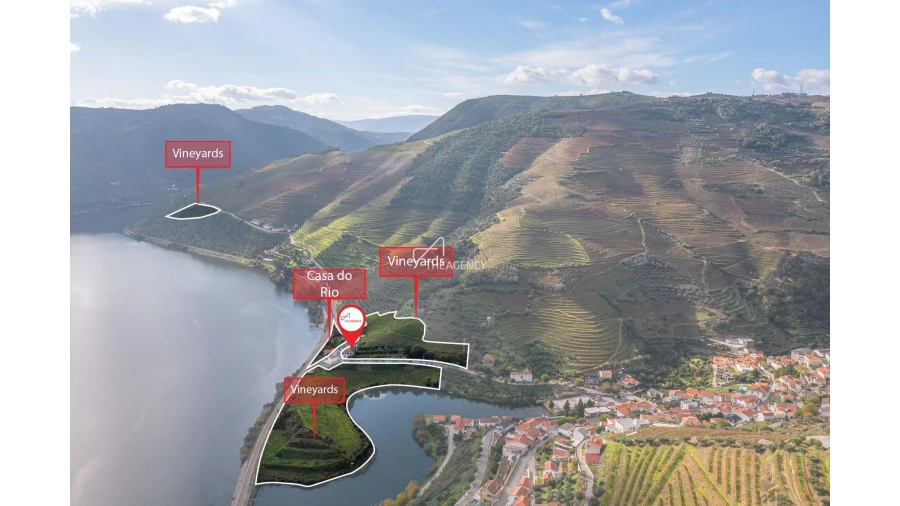 Quinta T6 para Venda em Galafura e Covelinhas Foto 21