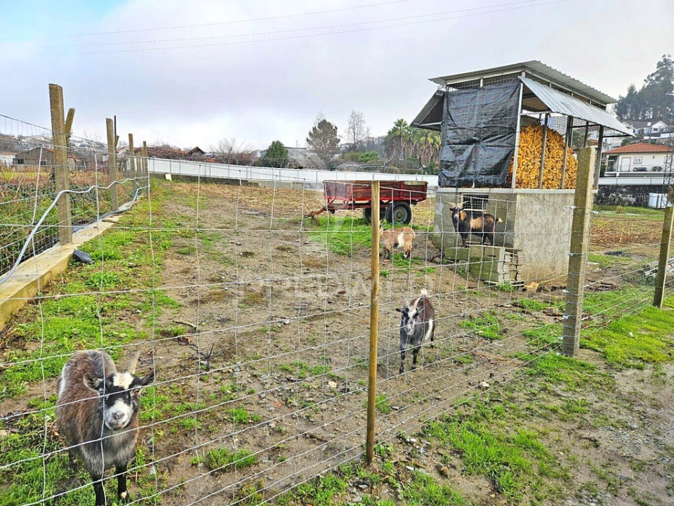 Moradia T2 para Venda em Macieira da Lixa e Caramos Foto 14