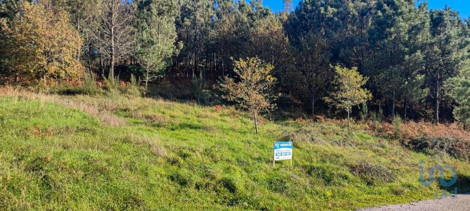Terreno para Venda em Moledo Foto 11