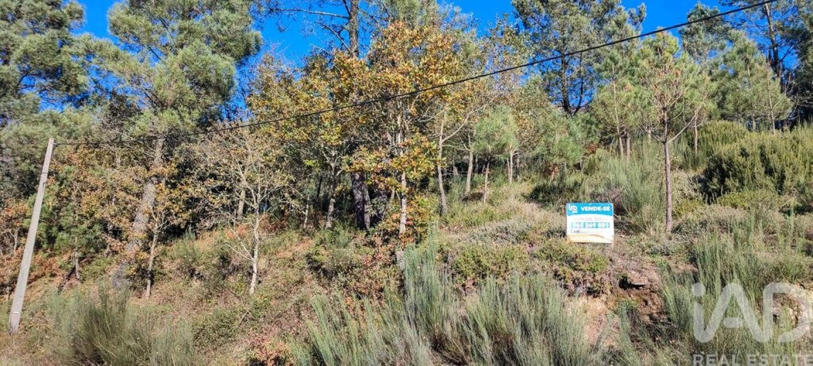 Terreno para Venda em Moledo Foto 16