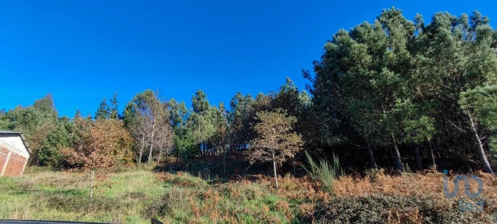 Terreno para Venda em Moledo Foto 13