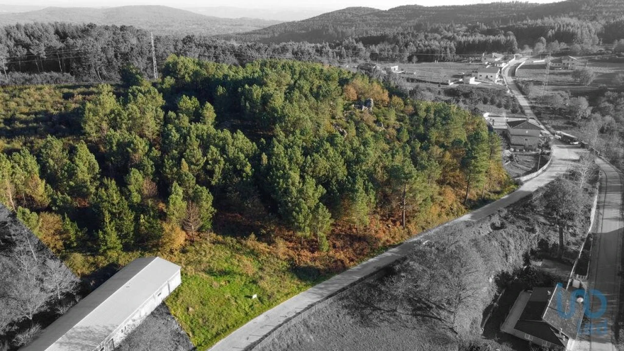 Terreno para Venda em Moledo Foto 5