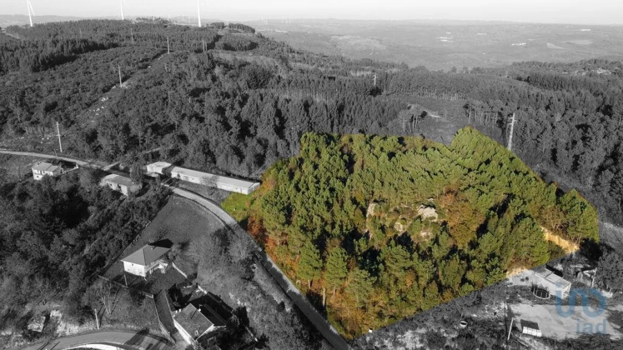 Terreno para Venda em Moledo Foto 6