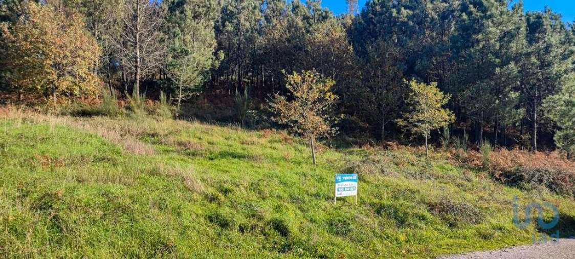 Terreno para Venda em Moledo Foto 11