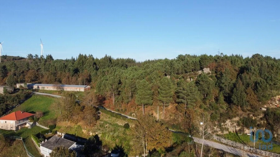 Terreno para Venda em Moledo Foto 9