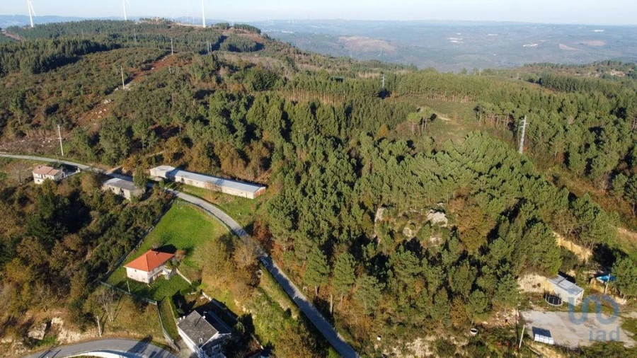 Terreno para Venda em Moledo Foto 4