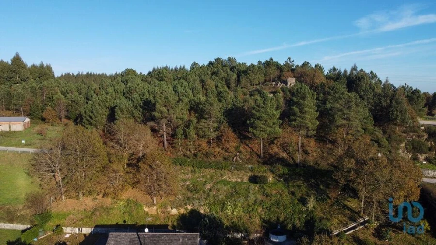 Terreno para Venda em Moledo Foto 3