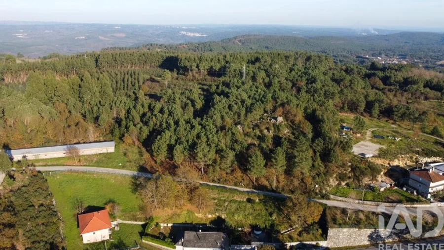 Terreno para Venda em Moledo Foto 17