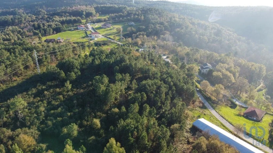 Terreno para Venda em Moledo Foto 7