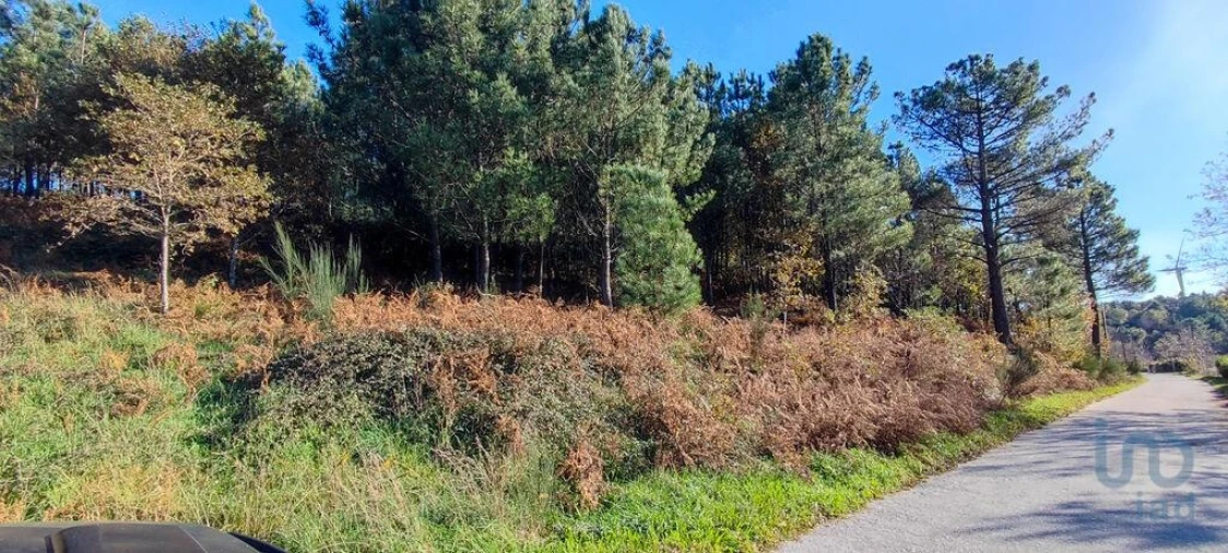 Terreno para Venda em Moledo Foto 2