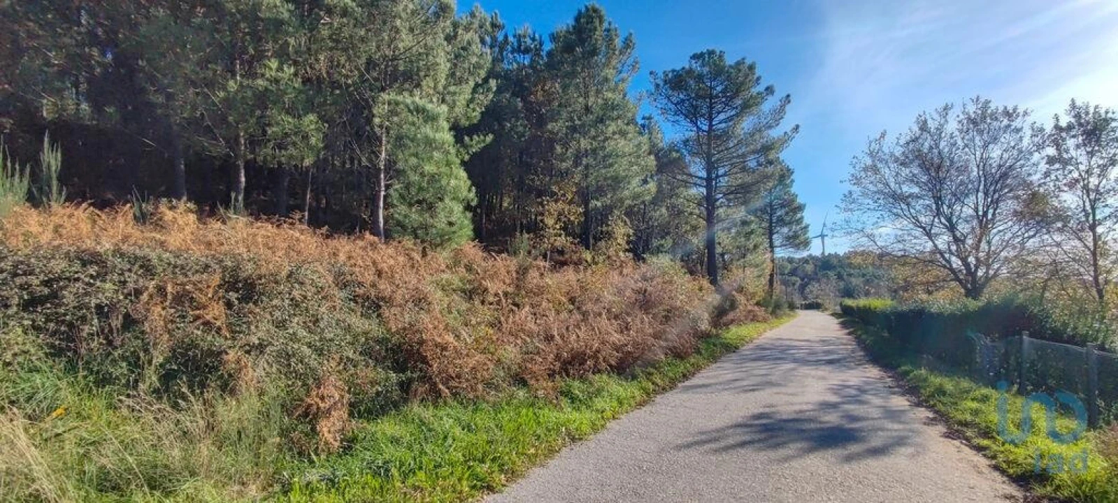 Terreno para Venda em Moledo Foto 14