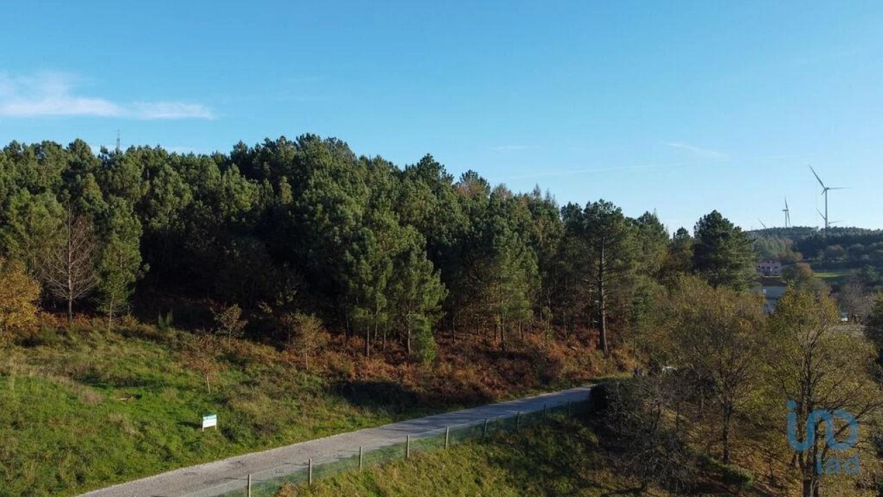 Terreno para Venda em Moledo Foto 1