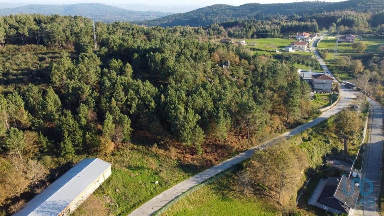 Terreno para Venda em Moledo Foto 8