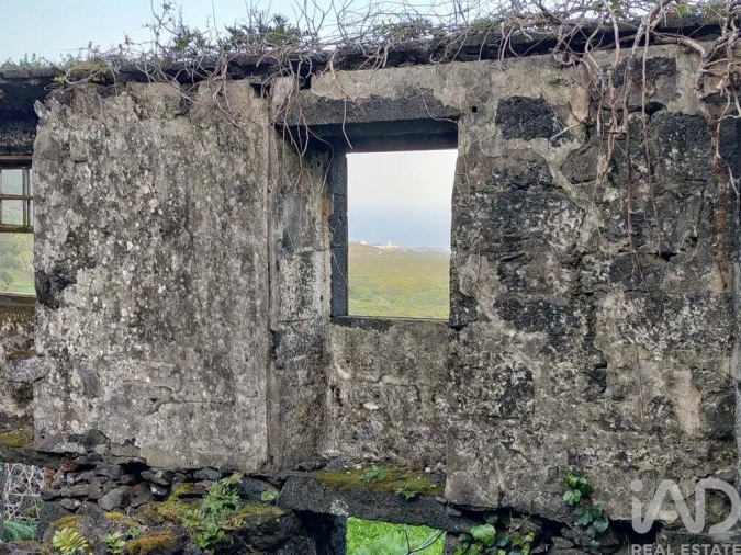 Moradia T3 para Venda em Piedade Foto 8