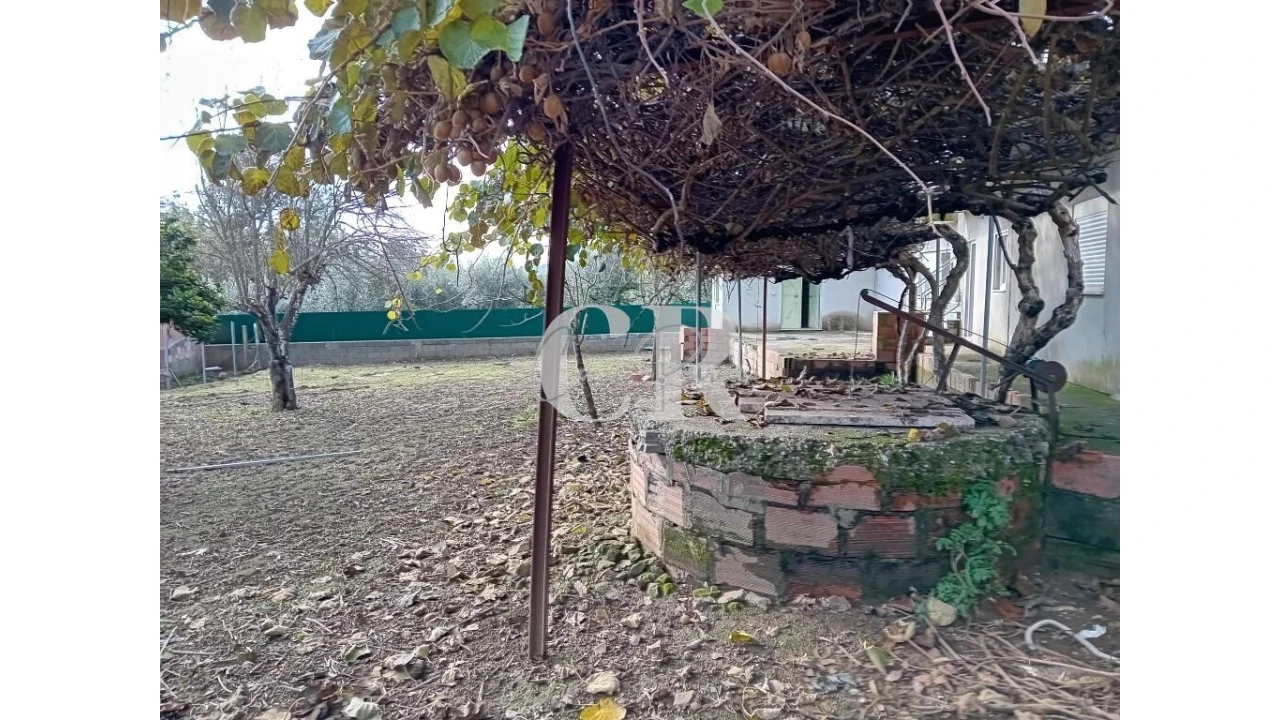 Moradia T3 para Venda em Cernache do Bonjardim, Nesperal e Palhais Foto 6