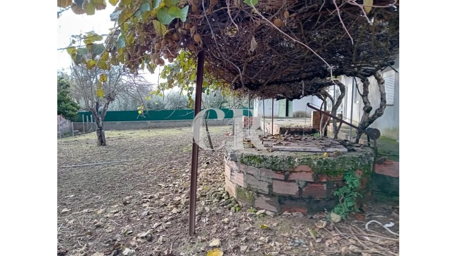 Moradia T3 para Venda em Cernache do Bonjardim, Nesperal e Palhais Foto 6