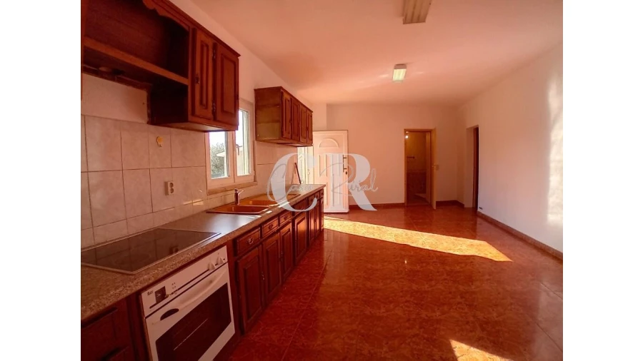 Moradia T3 para Venda em Cernache do Bonjardim, Nesperal e Palhais Foto 16