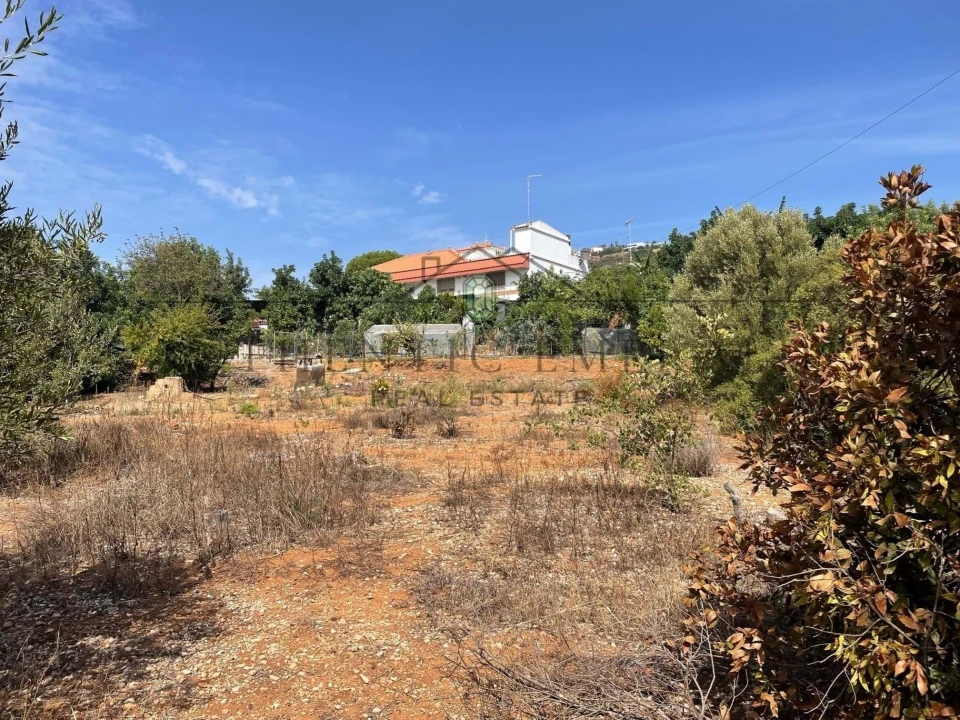 Terreno para Venda em Santa Barbara de Nexe Foto 4