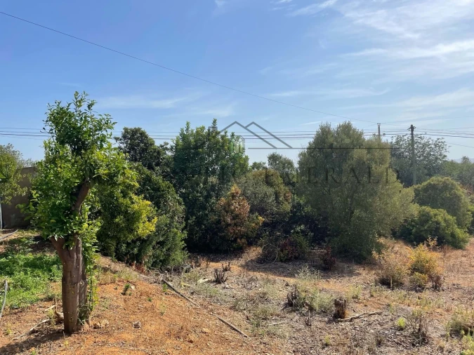 Terreno para Venda em Santa Barbara de Nexe Foto 7