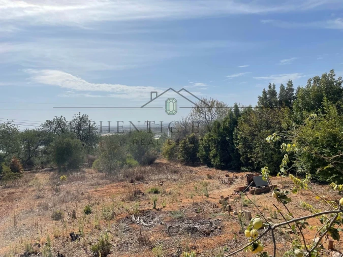 Terreno para Venda em Santa Barbara de Nexe Foto 5
