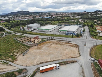Terreno para Arrendamento em Mangualde, Mesquitela e Cunha Alta
