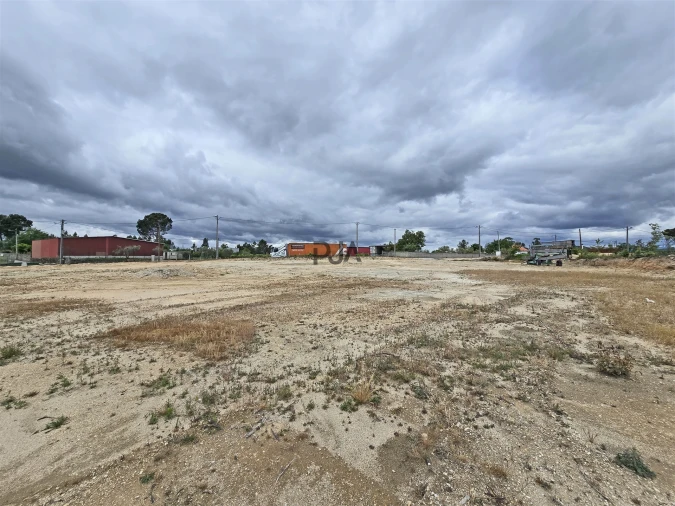 Terreno para Arrendamento em Mangualde, Mesquitela e Cunha Alta Foto 4