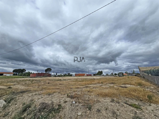 Terreno para Arrendamento em Mangualde, Mesquitela e Cunha Alta Foto 2