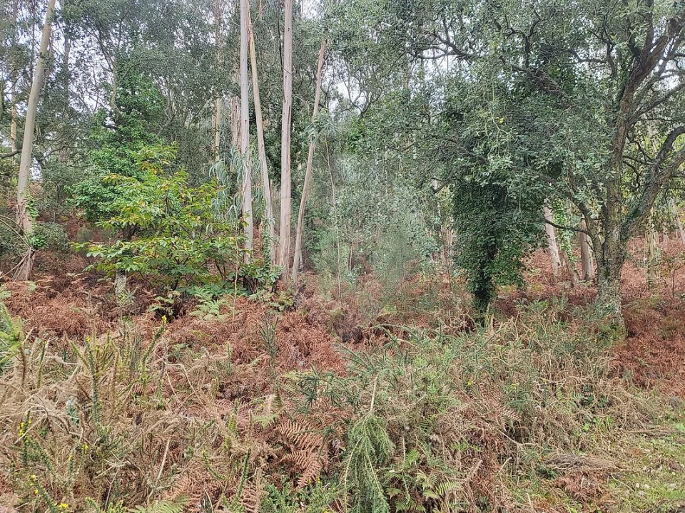 Terreno para Venda em Venda do Pinheiro e Santo Estêvão das Galés Foto 2