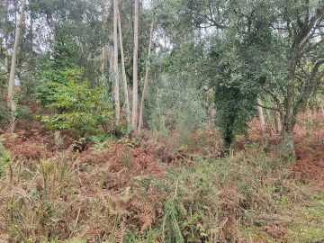 Terreno para Venda em Venda do Pinheiro e Santo Estêvão das Galés